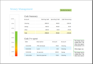 Money management template