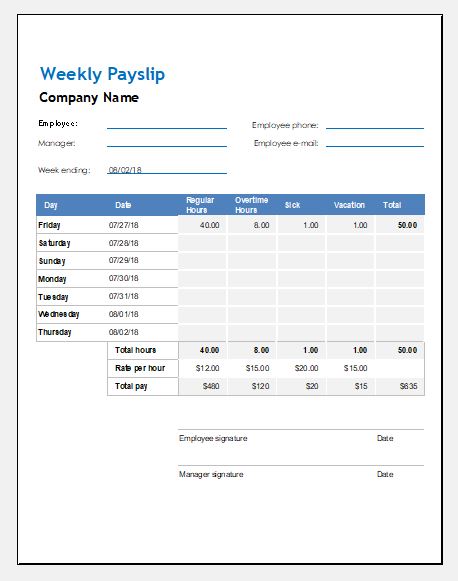 Weekly payslip format