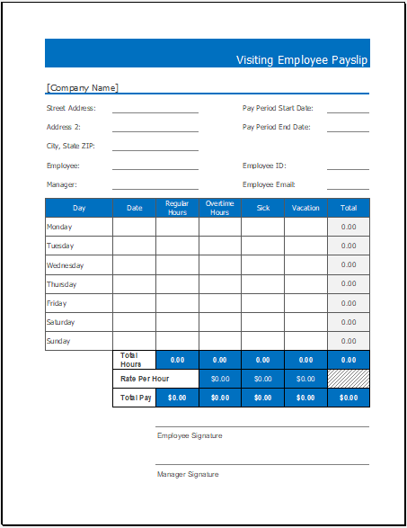 Visiting Employee Payslip Template