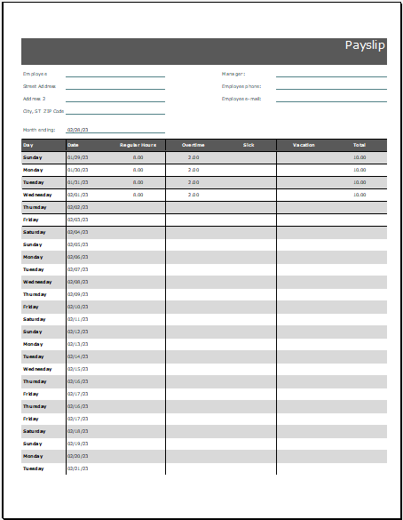 Payslip Template for Excel